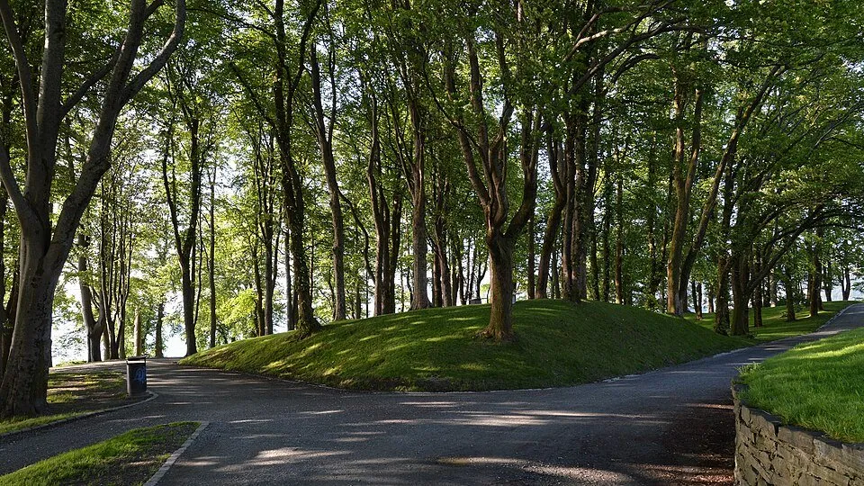 Nordnes & the park