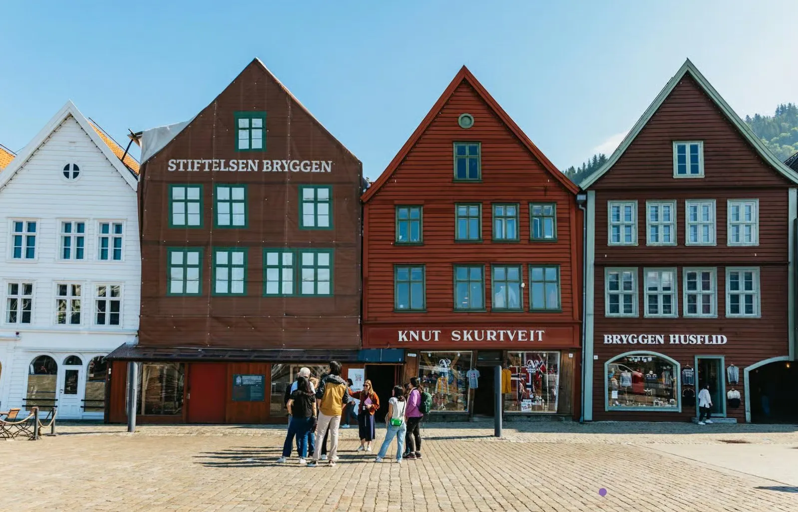 Bergen: Past & Present Small Group Guided Walking Tour