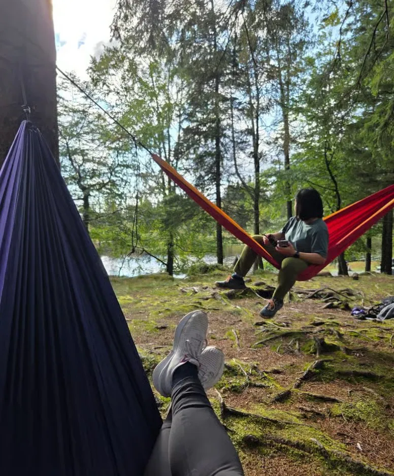 Mount Fløyen Hammock Tour