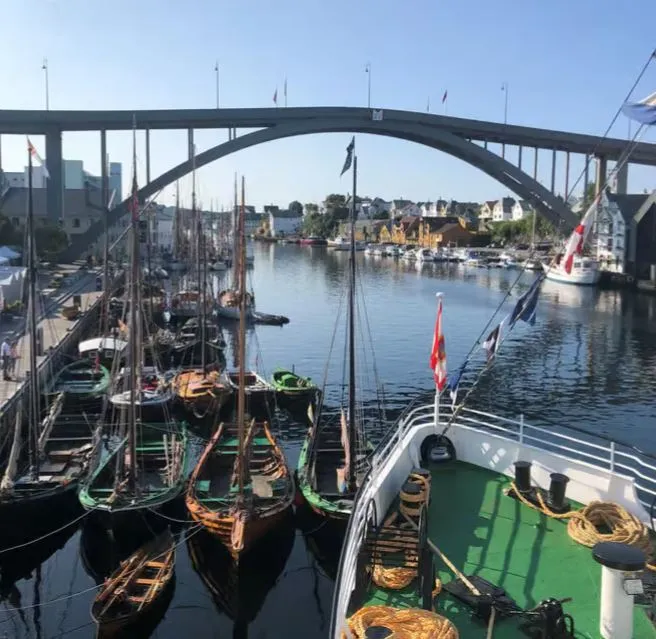 Guided Scenic Minibus Tour of Haugesund