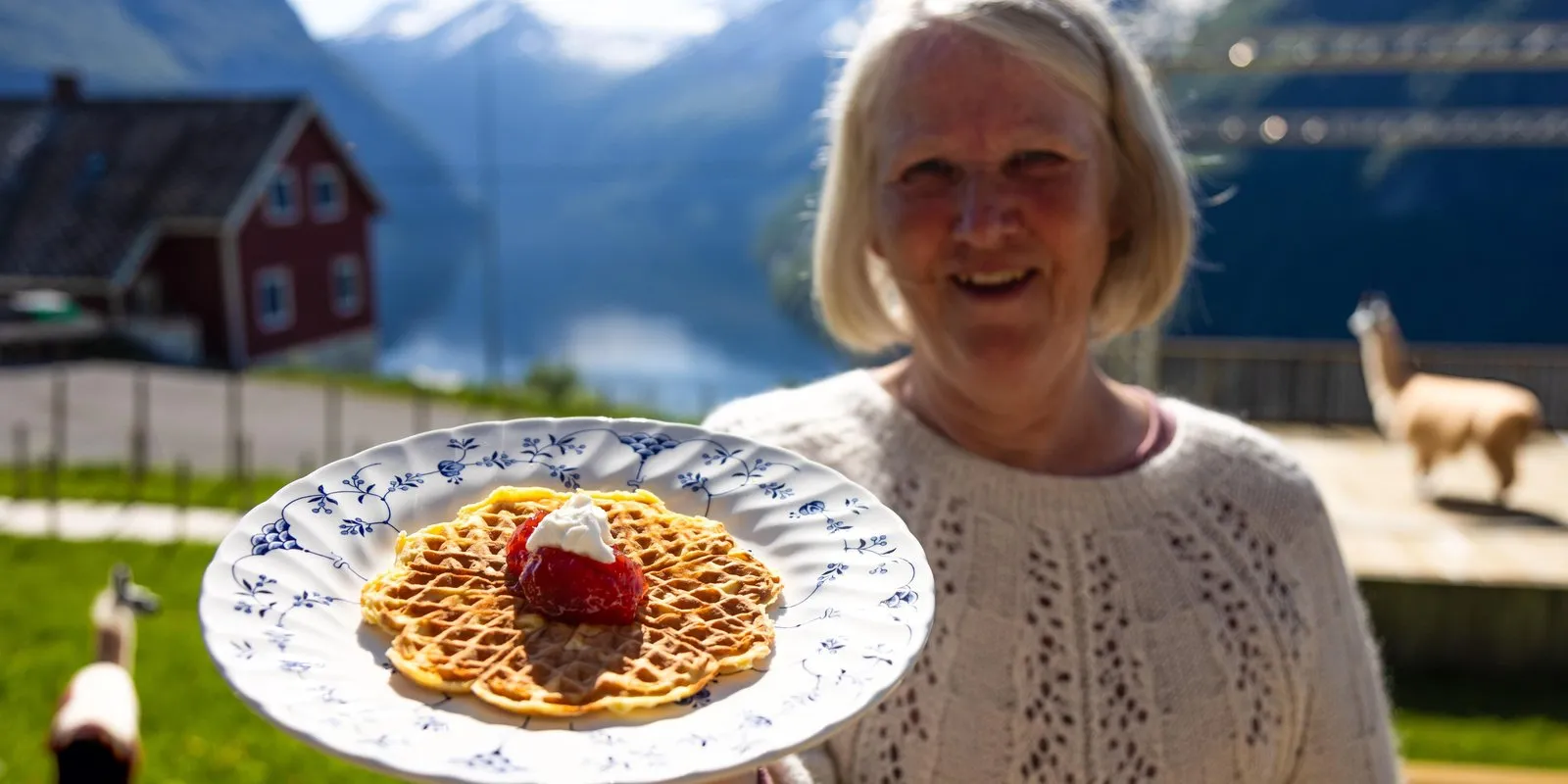 Ljøen Farm Tour: Meet the Locals