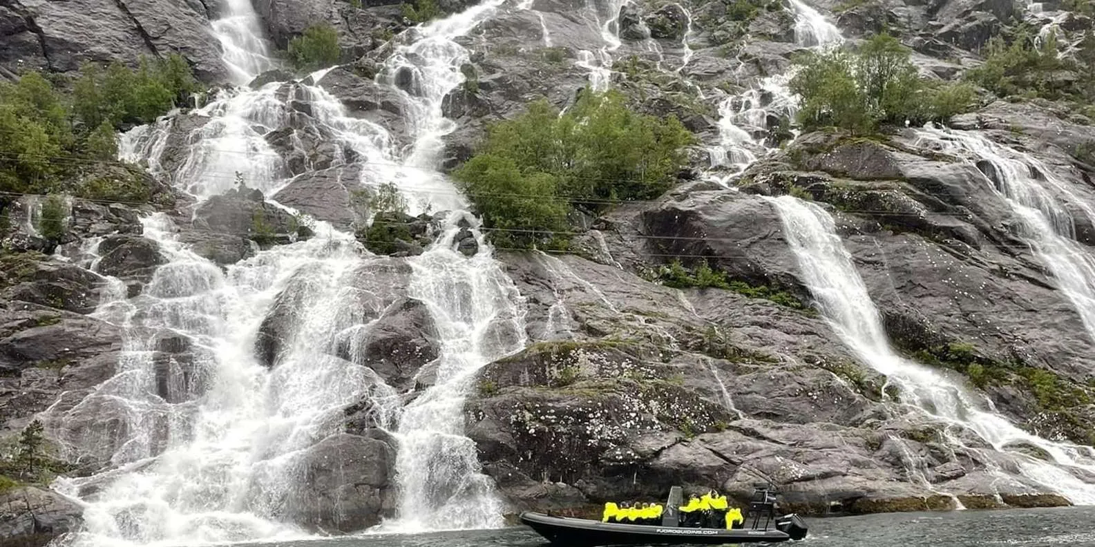 RIB Safari Nordfjordeid