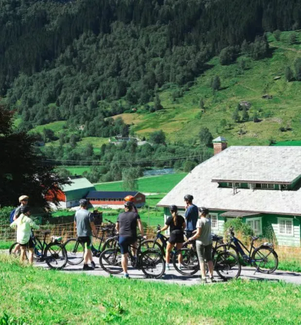 Olden: Guided E-bike Tour