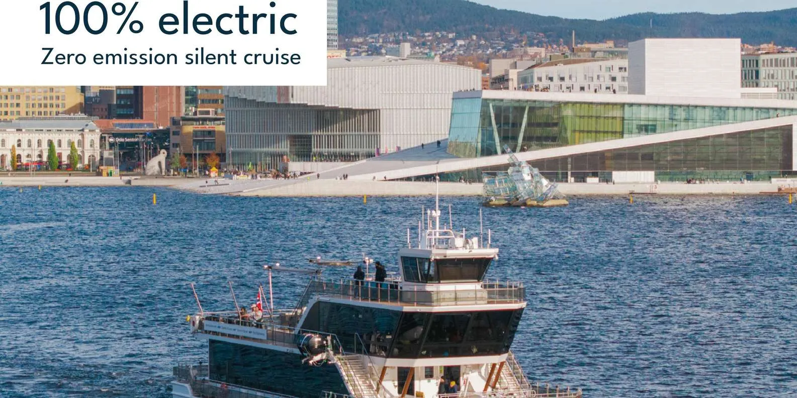 Guided Sightseeing Fjord Cruise on Premium Silent Boat